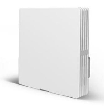 LC AP630-W ��ǽ����AP